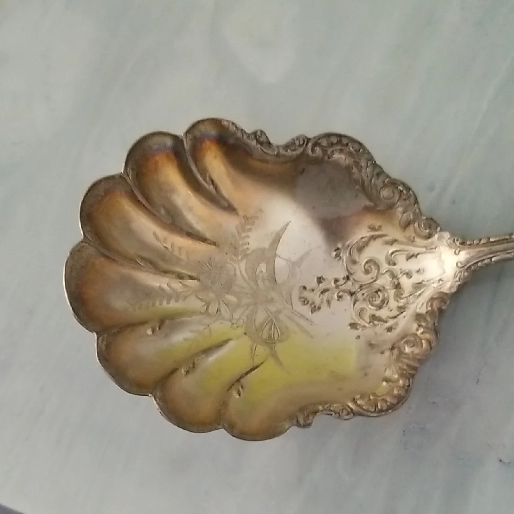 Vintage Elegant Silver Plated Decorative Spoon